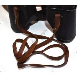 Binoculars in leather case