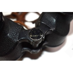 Binoculars in leather case