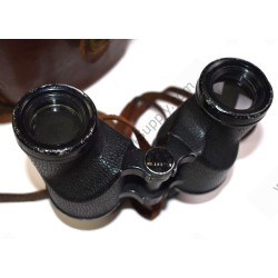Binoculars in leather case