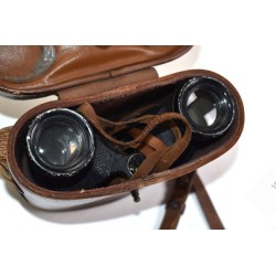 Binoculars in leather case