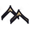 Grades de Private First Class (PFC)