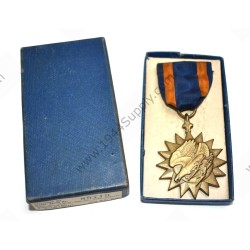 Air Medal in box