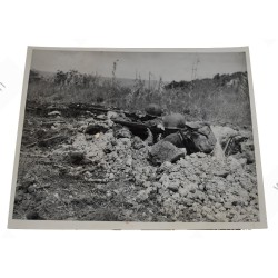 Photo of GI's with camouflaged helmets