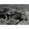 Photo of GI's with camouflaged helmets