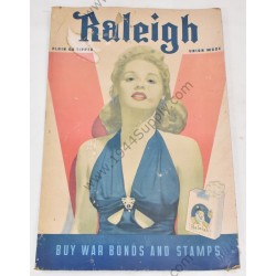 Raleigh sign V  - 1