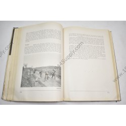 The 304th Infantry  - 10