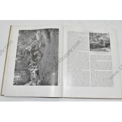 Americans, the story of the 442d combat team  - 8