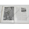 Americans, the story of the 442d combat team  - 8