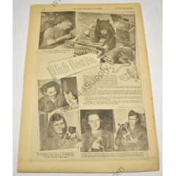 Stars and Stripes journal du 10 novembre 1945  - 6