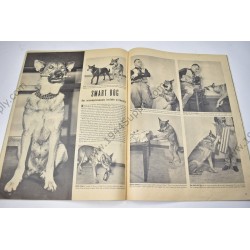 LIFE magazine of November 1, 1942 - Overseas Service Edition  - 9