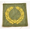 Meritorious service unit badge  - 1