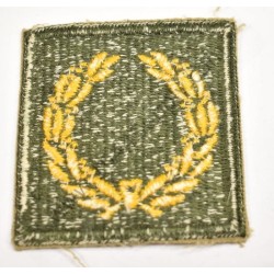 Meritorious service unit badge  - 2